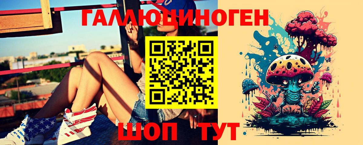 Псилоцибиновые грибы Psilocybine cubensis Урай