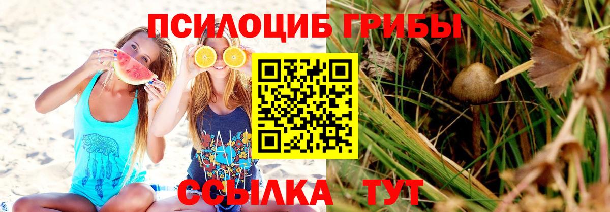 Галлюциногенные грибы Psilocybine cubensis  Вход с VPN  Псилоцибиновые грибы GOLDEN TEACHER  Урай 